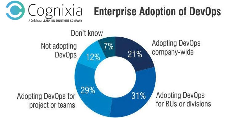 enterprise adoption devops