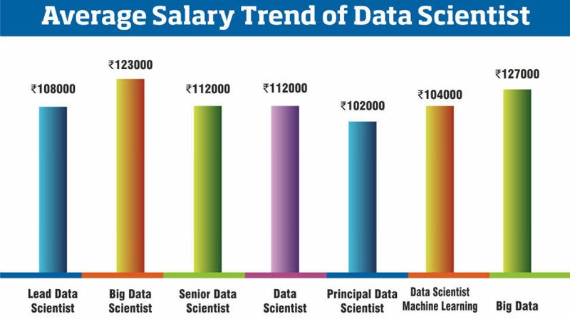 Data Scientist – A Rare Breed Making Big Bucks