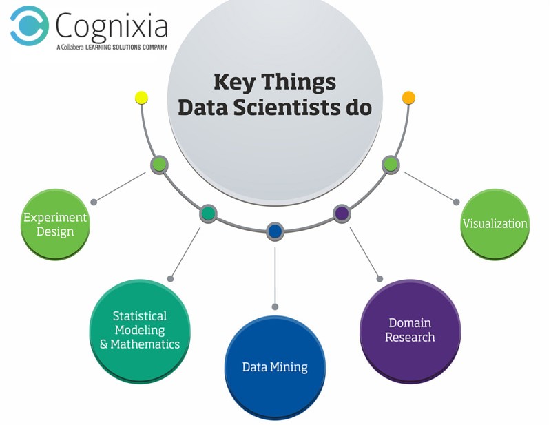 The Fascinating World of Data Science