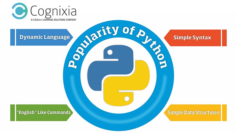 python popularity