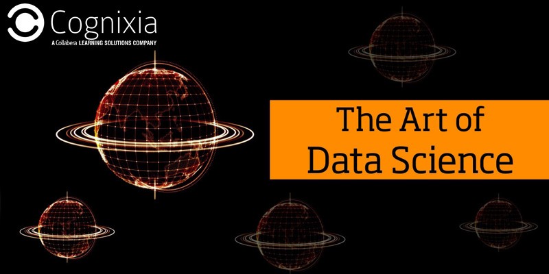 The Art of Data Science