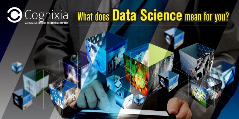data science meaning