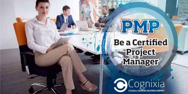 PMP Certification: Taking Enterprise Professionals to the Wonderland