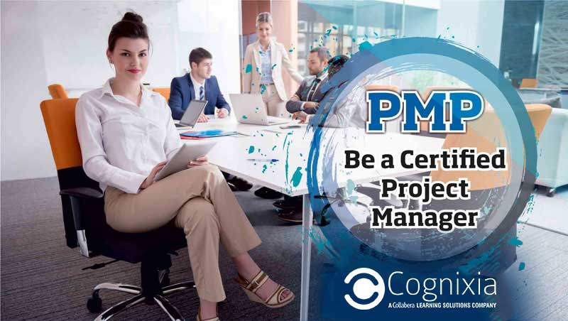 PMP Certification: Taking Enterprise Professionals to the Wonderland