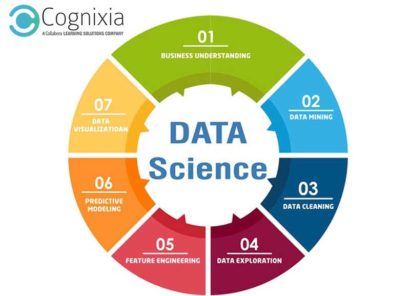 what is data science