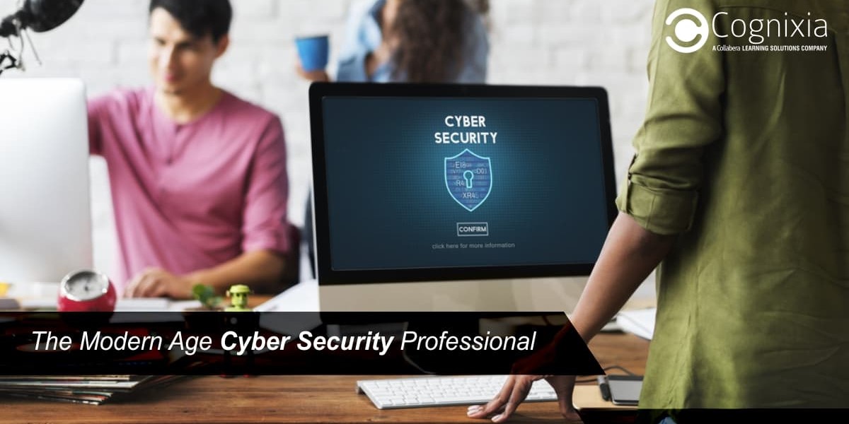 The Modern Age Cybersecurity Professional