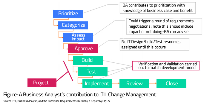 business analyst’s contribution